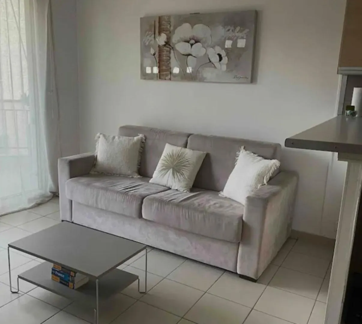 Bright Apartment - Sea View Antibes